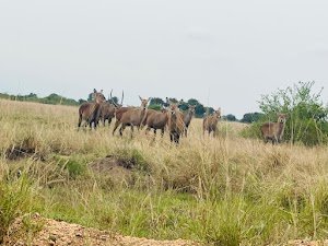 Vayable Tours and Travel place picture